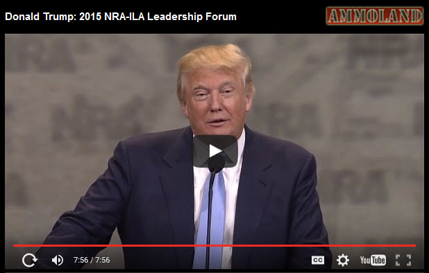 Trump-guns-2015
